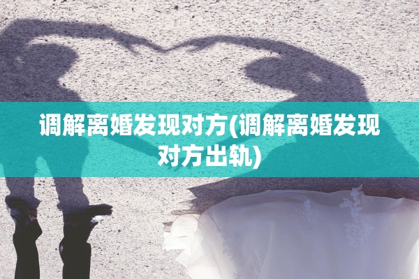 调解离婚发现对方(调解离婚发现对方出轨)