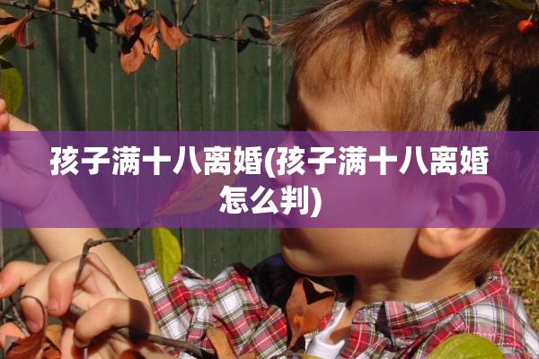 孩子满十八离婚(孩子满十八离婚怎么判) 孩子满十八离婚(孩子满十八离婚怎么判)