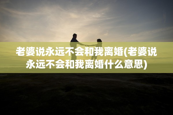 老婆说永远不会和我离婚(老婆说永远不会和我离婚什么意思)