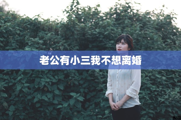 老公有小三我不想离婚