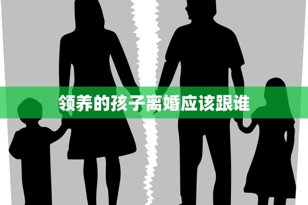 领养的孩子离婚应该跟谁 领养的孩子离婚应该跟谁