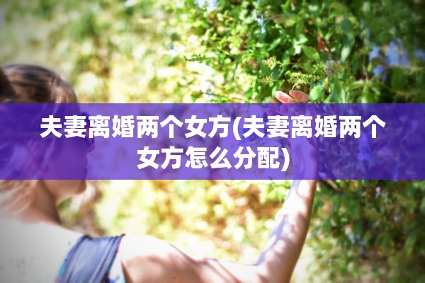 夫妻离婚两个女方(夫妻离婚两个女方怎么分配) 夫妻离婚两个女方(夫妻离婚两个女方怎么分配)