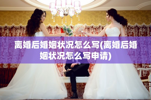 离婚后婚姻状况怎么写(离婚后婚姻状况怎么写申请)