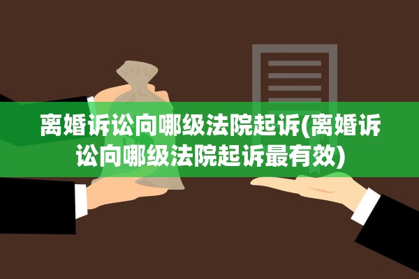离婚诉讼向哪级法院起诉(离婚诉讼向哪级法院起诉最有效)