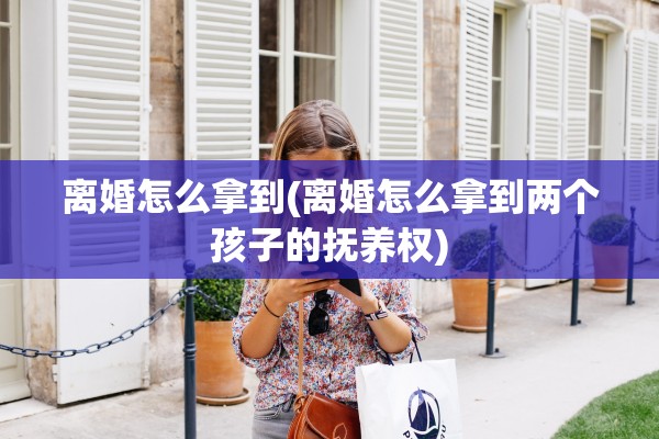 离婚怎么拿到(离婚怎么拿到两个孩子的抚养权)