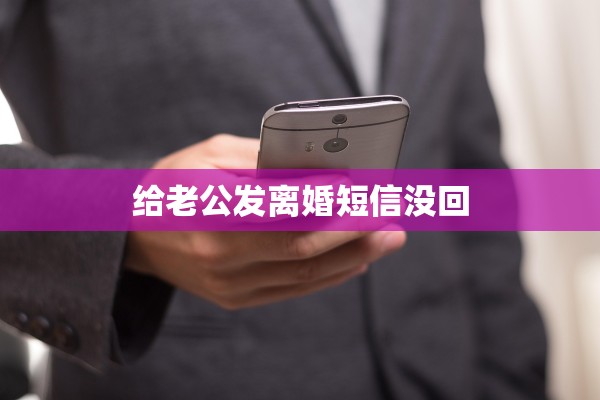 给老公发离婚短信没回