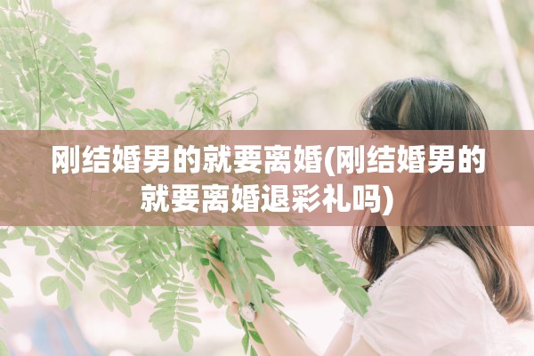 刚结婚男的就要离婚(刚结婚男的就要离婚退彩礼吗)