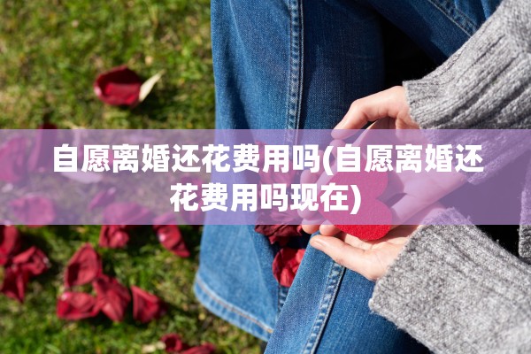 自愿离婚还花费用吗(自愿离婚还花费用吗现在) 自愿离婚还花费用吗(自愿离婚还花费用吗现在)