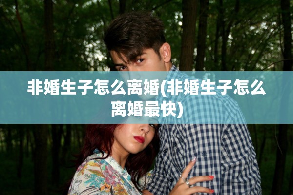 非婚生子怎么离婚(非婚生子怎么离婚最快)