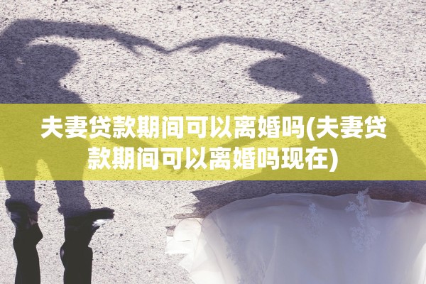 夫妻贷款期间可以离婚吗(夫妻贷款期间可以离婚吗现在)