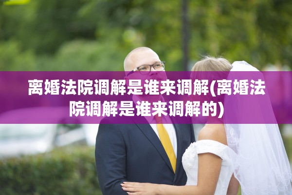 离婚法院调解是谁来调解(离婚法院调解是谁来调解的)