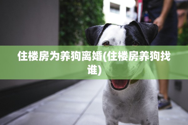住楼房为养狗离婚(住楼房养狗找谁)