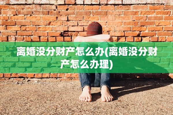 离婚没分财产怎么办(离婚没分财产怎么办理)