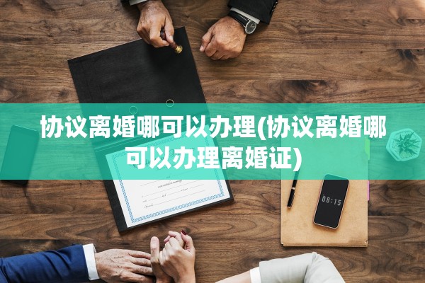 协议离婚哪可以办理(协议离婚哪可以办理离婚证)