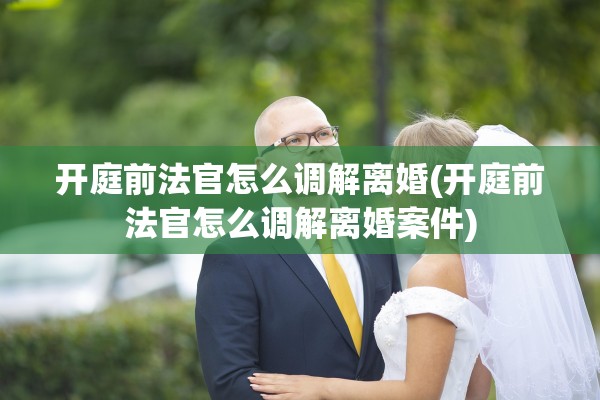 开庭前法官怎么调解离婚(开庭前法官怎么调解离婚案件)