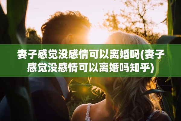 妻子感觉没感情可以离婚吗(妻子感觉没感情可以离婚吗知乎) 妻子感觉没感情可以离婚吗(妻子感觉没感情可以离婚吗知乎)
