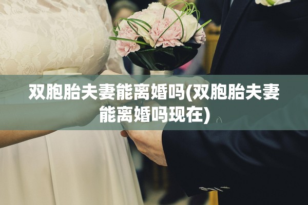 双胞胎夫妻能离婚吗(双胞胎夫妻能离婚吗现在)