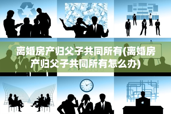 离婚房产归父子共同所有(离婚房产归父子共同所有怎么办) 离婚房产归父子共同所有(离婚房产归父子共同所有怎么办)